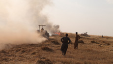 Iraqi parliament orders compensation of farmers affected by recent crop fires